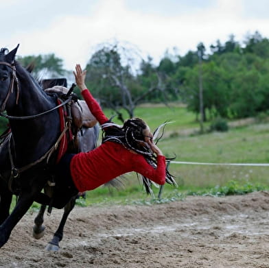 Lucie et les chevaux