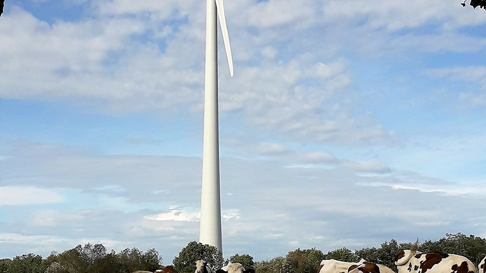 Visite guidée de l'éolienne citoyenne de Chamole