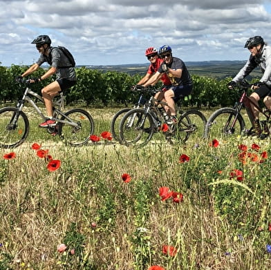 Bourgogne Nord et Chablis / 5 jours 