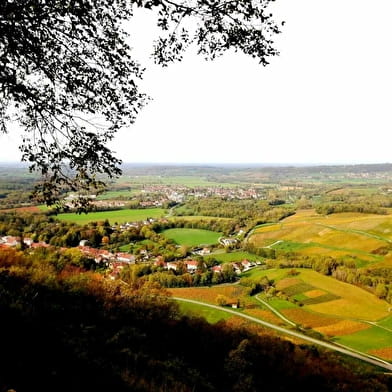 Du Road-trip au Picnic par Jurallye-Tour