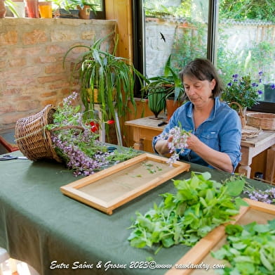 Les Herbes du Jardin mutin