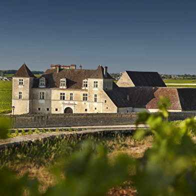 Wine and Tours, oenotourisme : Les Châteaux des Côtes viticoles de Nuits & Beaune