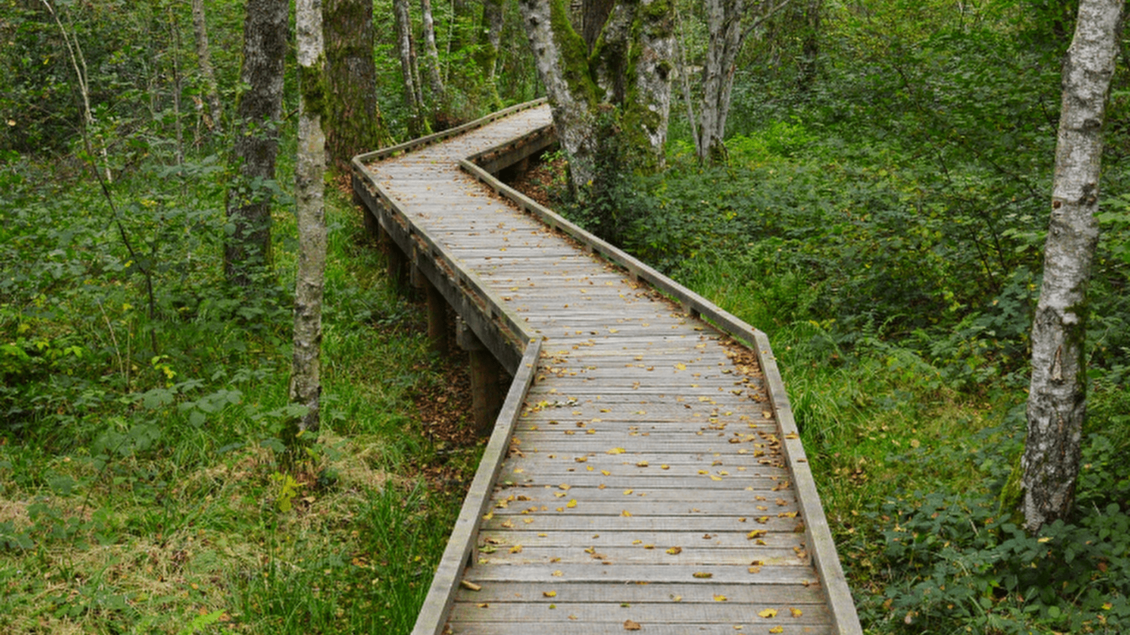 Le sentier de la Maison des Hommes et des Paysages