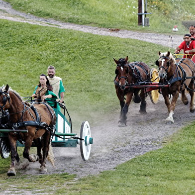 Augustodunum, les chevaux de légendes