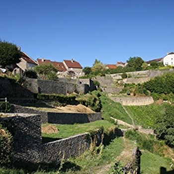 Le Vignoble du Château-Chalon - MENETRU-LE-VIGNOBLE