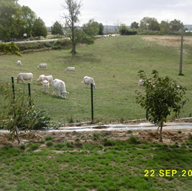 Gîte les hirondelles de la Loire