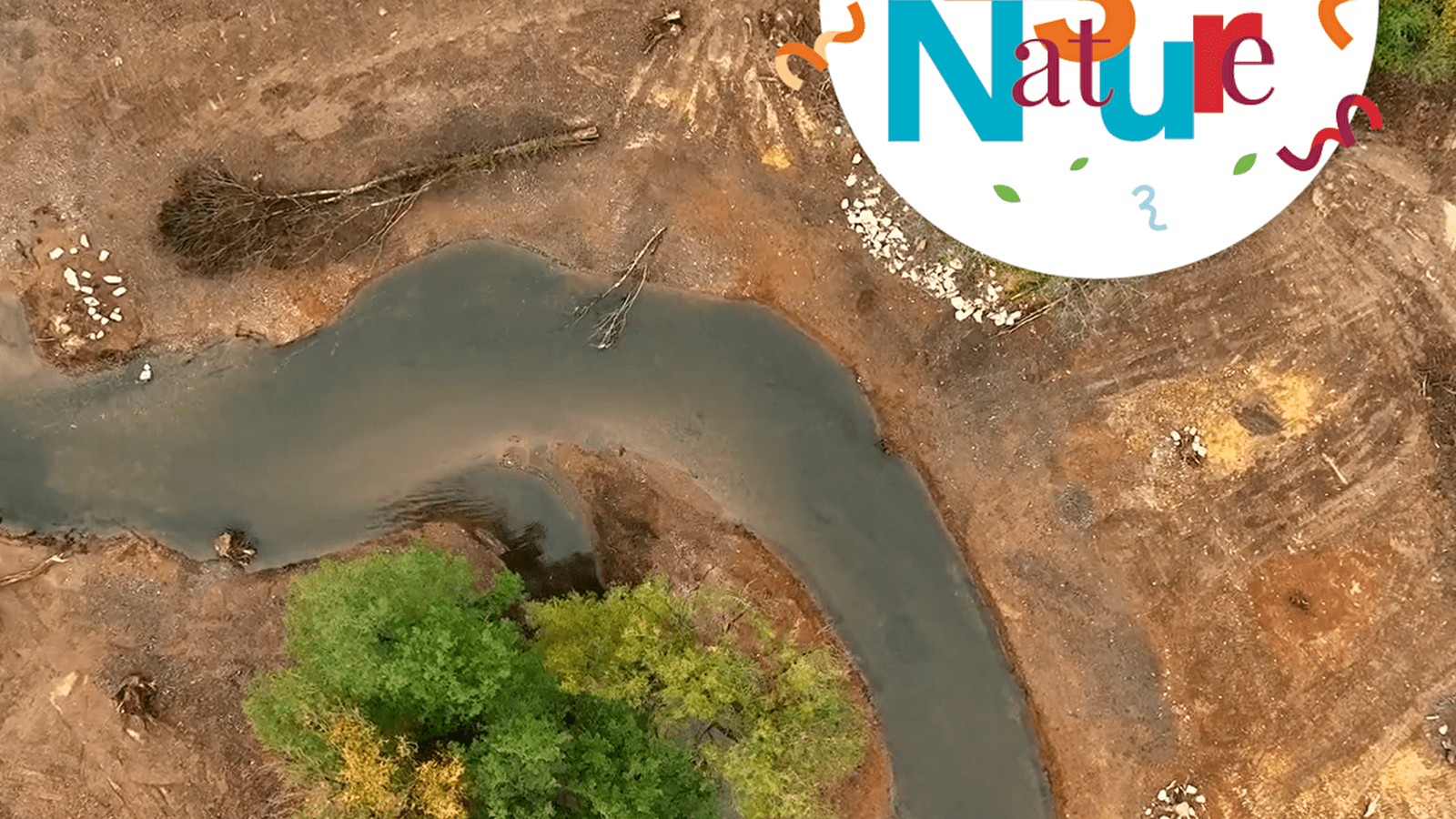 SORTIE 123 NATURE :  La réserve naturelle régionale de la basse vallée de la Savoureuse