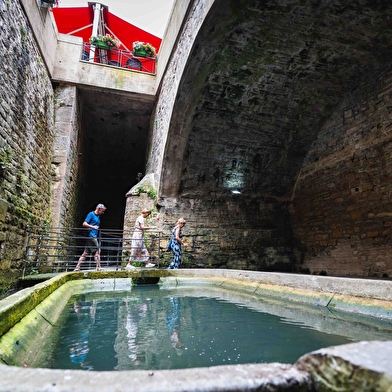 Excursion accompagnée particuliers - Ligne des Hirondelles