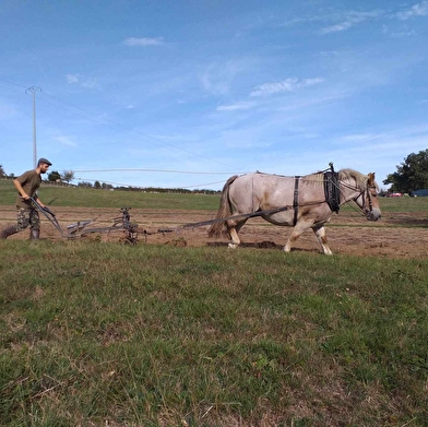 La p'tite ferme de la cour