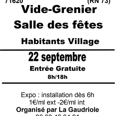 Vide grenier