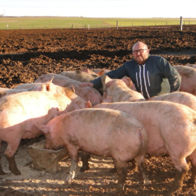 Ferme du Grand Ouche , production de porc