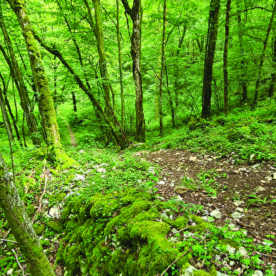 Trail des dolines