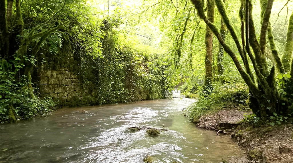 Balade et sophrologie à la Source du Lison