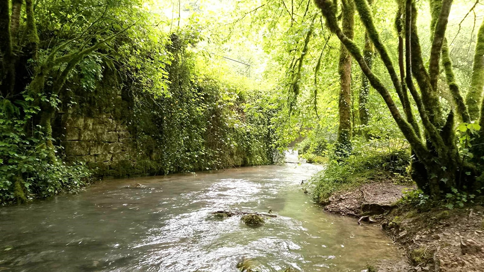 Balade et sophrologie à la Source du Lison