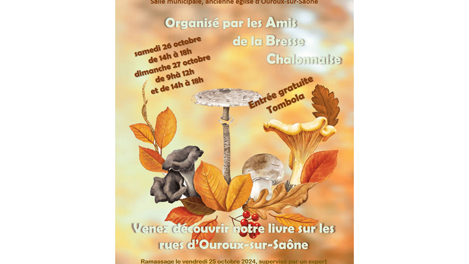 Exposition Mycologique