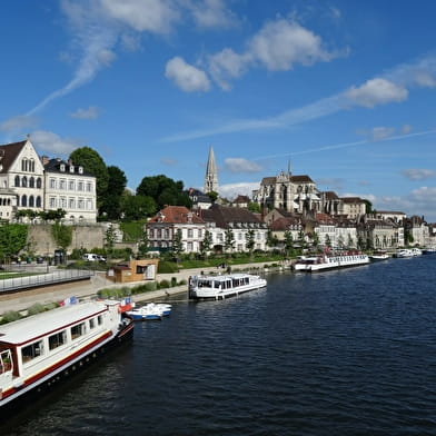 Bourgogne Nord et Chablis / 5 jours 