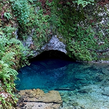 Source Bleue - MONTPERREUX