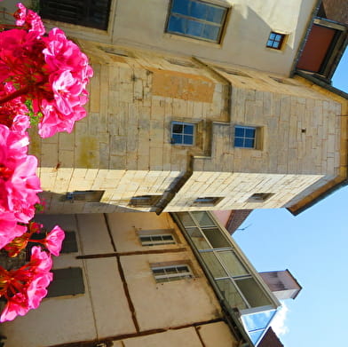 Journées du Patrimoine visite commentée de l'Hôtel de Conflans