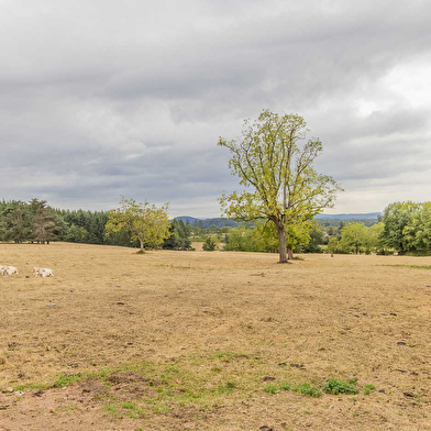 La Forge du Chateau