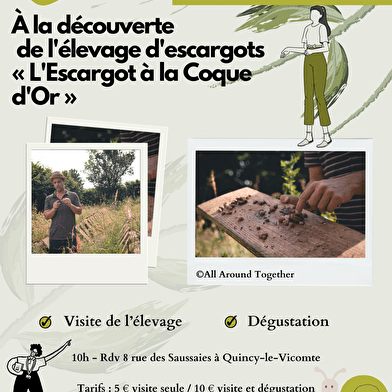 Visite de l'élevage d'escargots de la Coque d'Or 