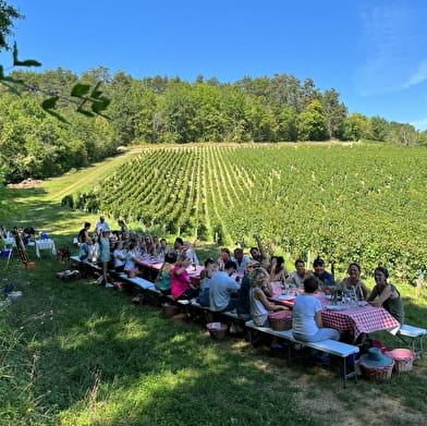 ANNULE : Fantastic Picnic Gastronomique dans les Vignes