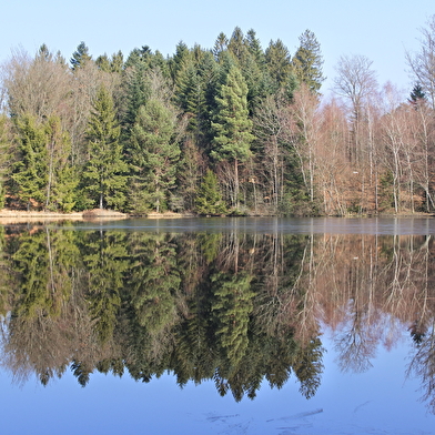 Le Sentier du Bois des Hauts