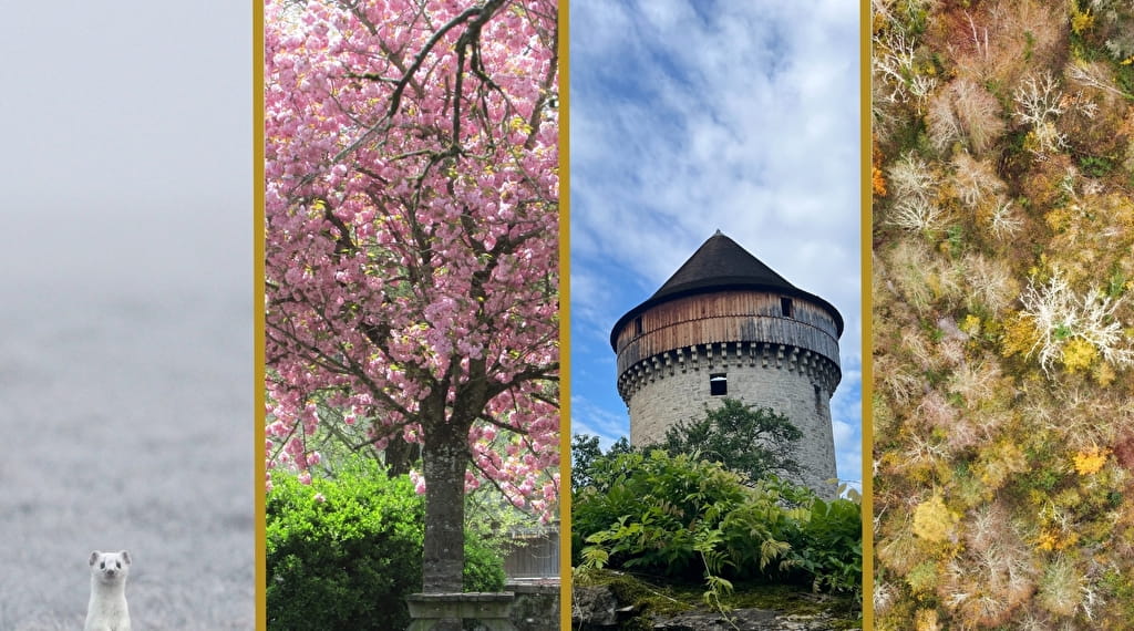 4 saisons dans le Coeur du Jura Du 21/9/2024 au 30/3/2025