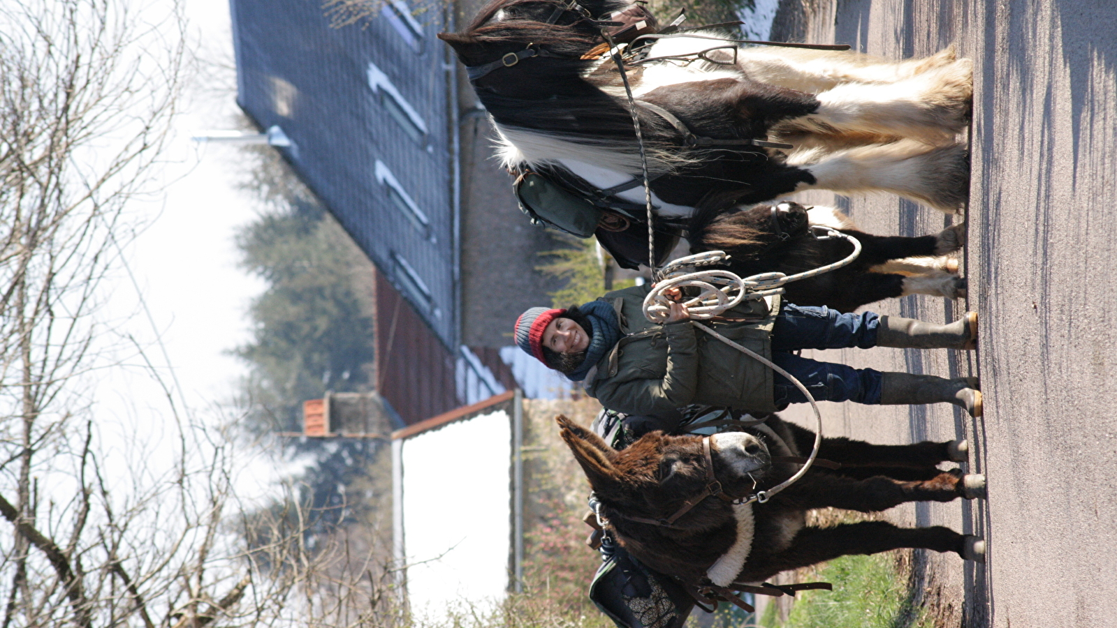 Balade à pied d'une journée avec âne, cheval et poney