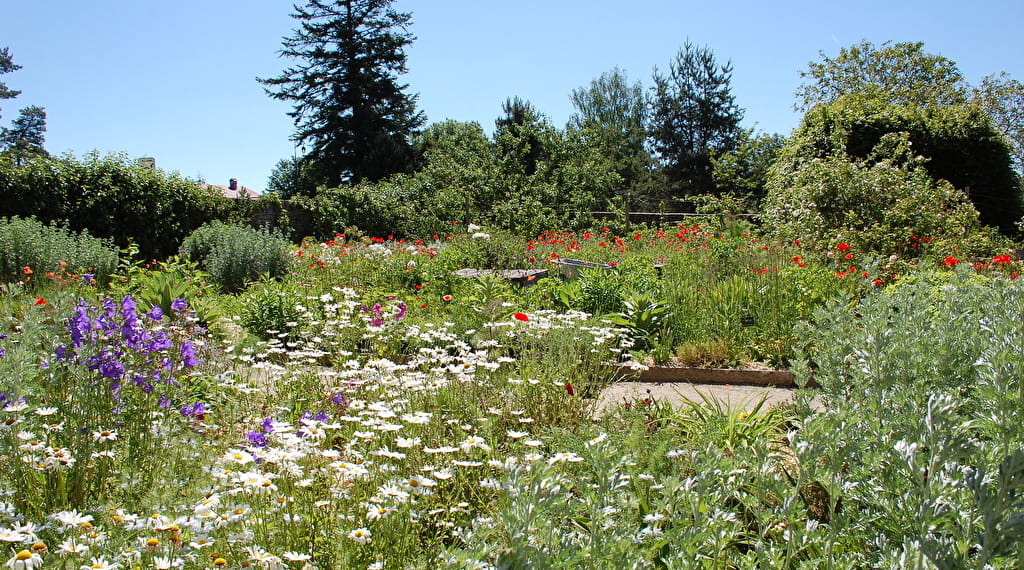 Le jardin de la Ferme Courbet à l