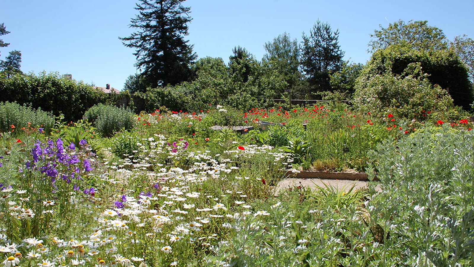 Le jardin de la Ferme Courbet à l'honneur !