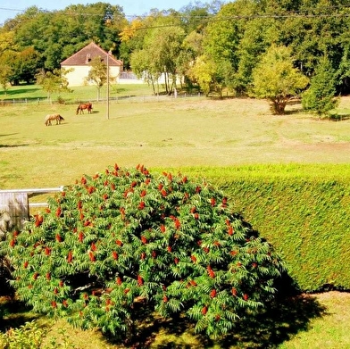 La Petite Maison