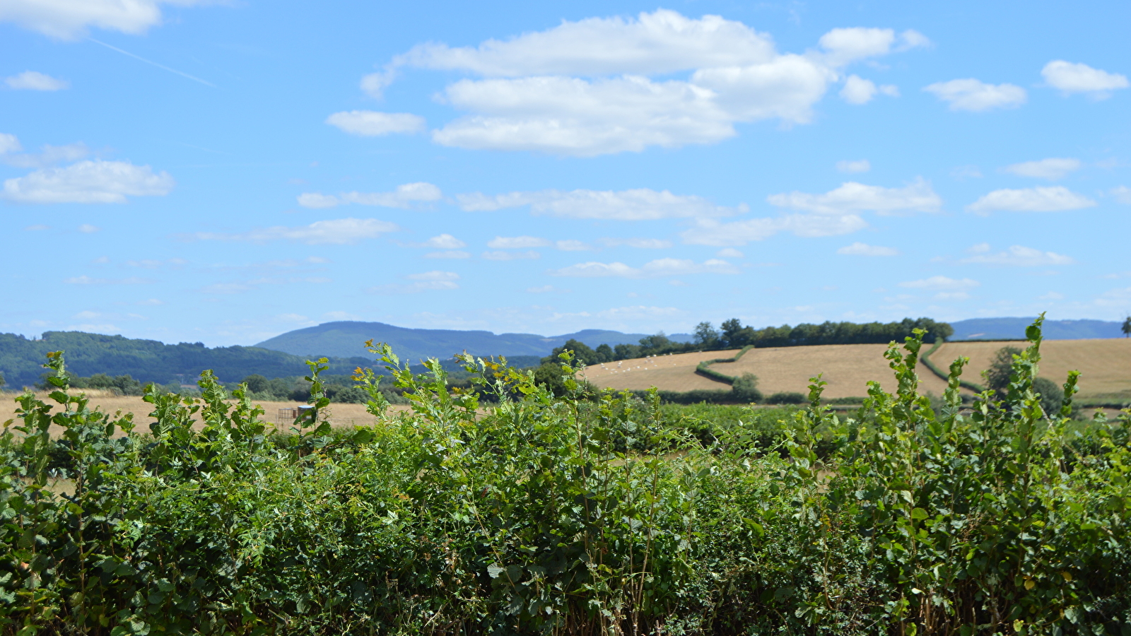 Sur les Hauteurs de Laizy