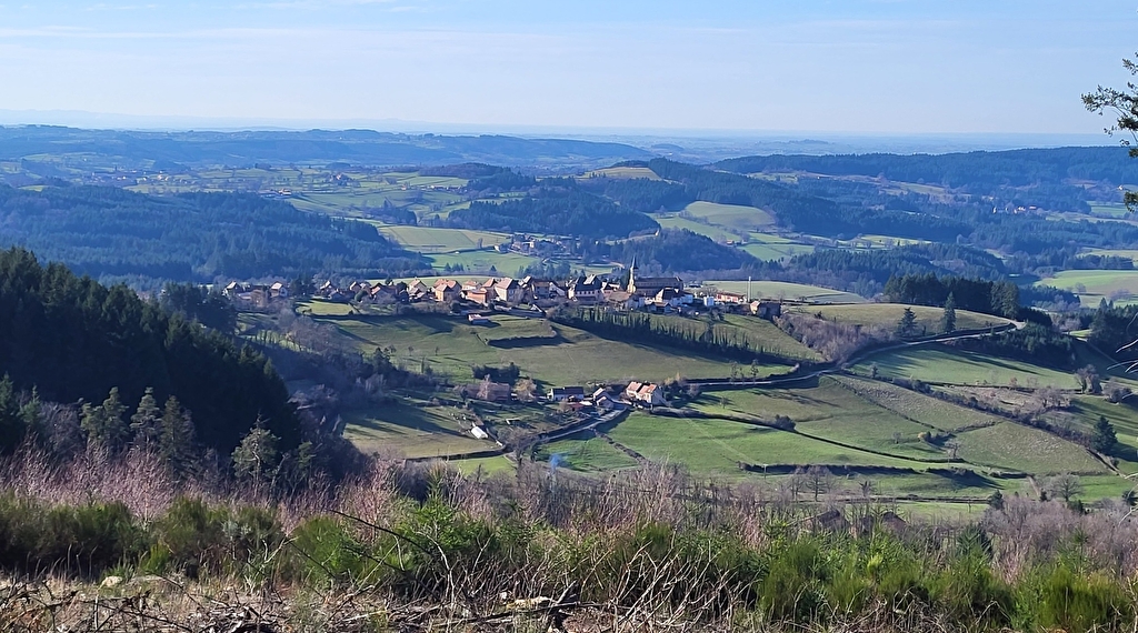 Marche des Perce-Neige Le 2 mars 2025