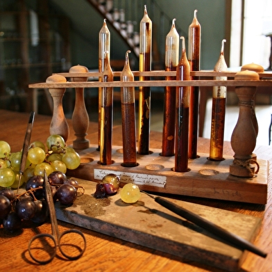 Du laboratoire au vignoble : sur les traces de Pasteur en Arbois 