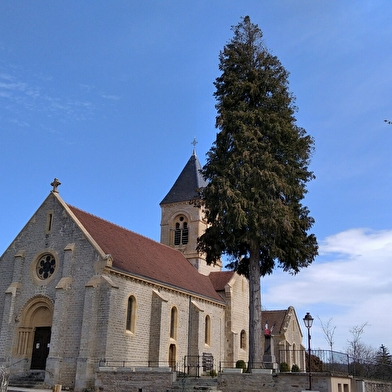 SAINT-BONNET-DE-VIEILLE-VIGNE