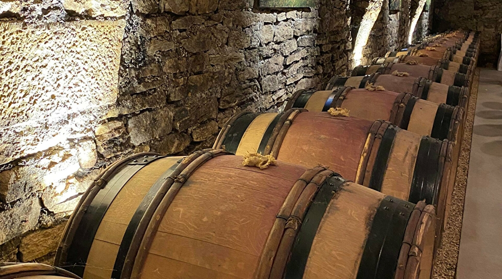 Wine tasting et Boogie aux Caves Saint-Nicolas de la Maison Albert Bichot