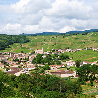 Sur les sentiers du Sud Bourgogne - De Milly-Lamartine à Mâcon Loché