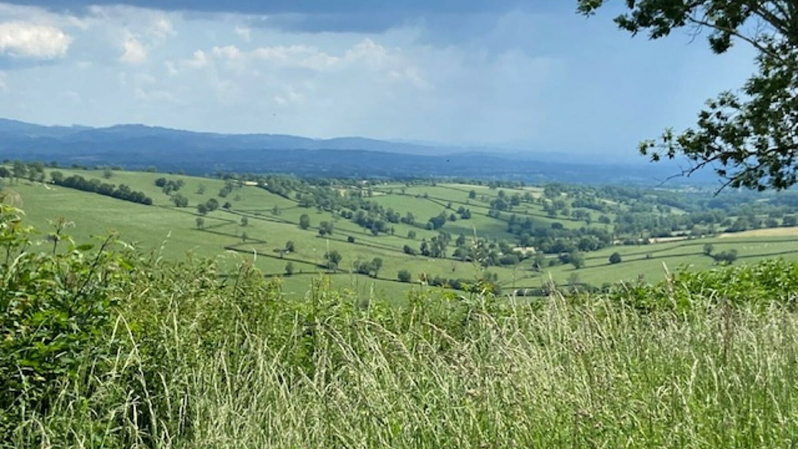 Bocage et paysage