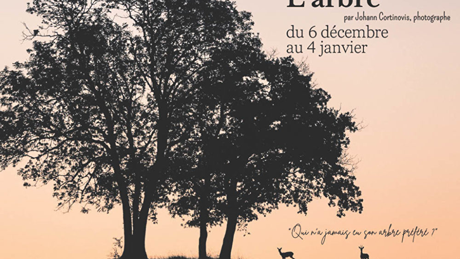 Exposition photo : l'Arbre 