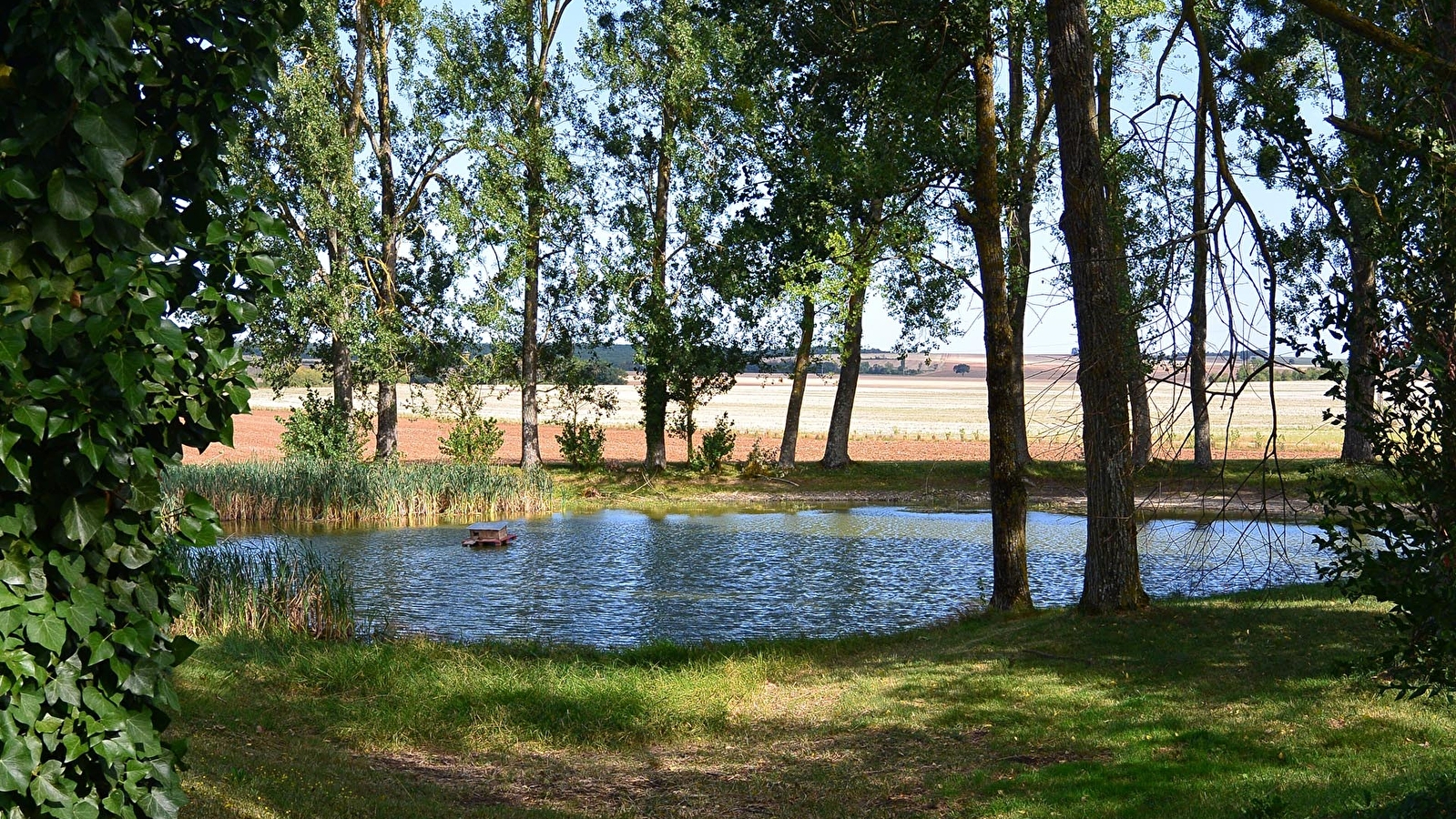 Chemin des Cinq Croix