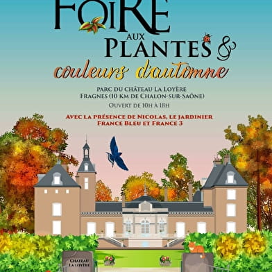 Foire aux plantes rares et couleurs d'automne