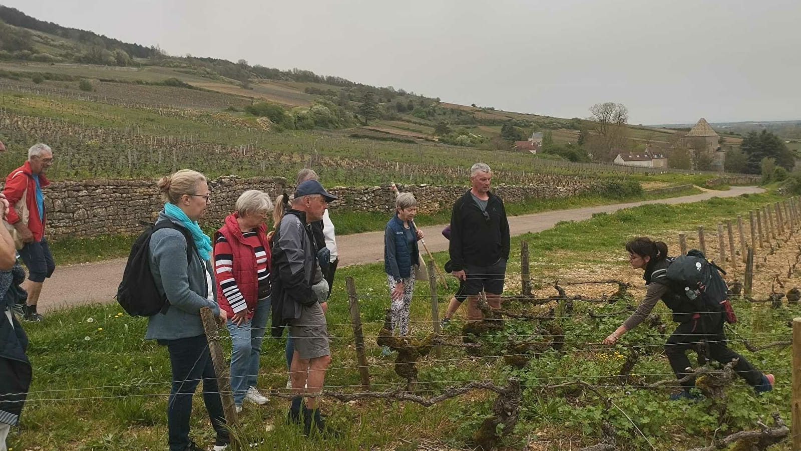 Balade dégustation entre vignes et vins à Meursault