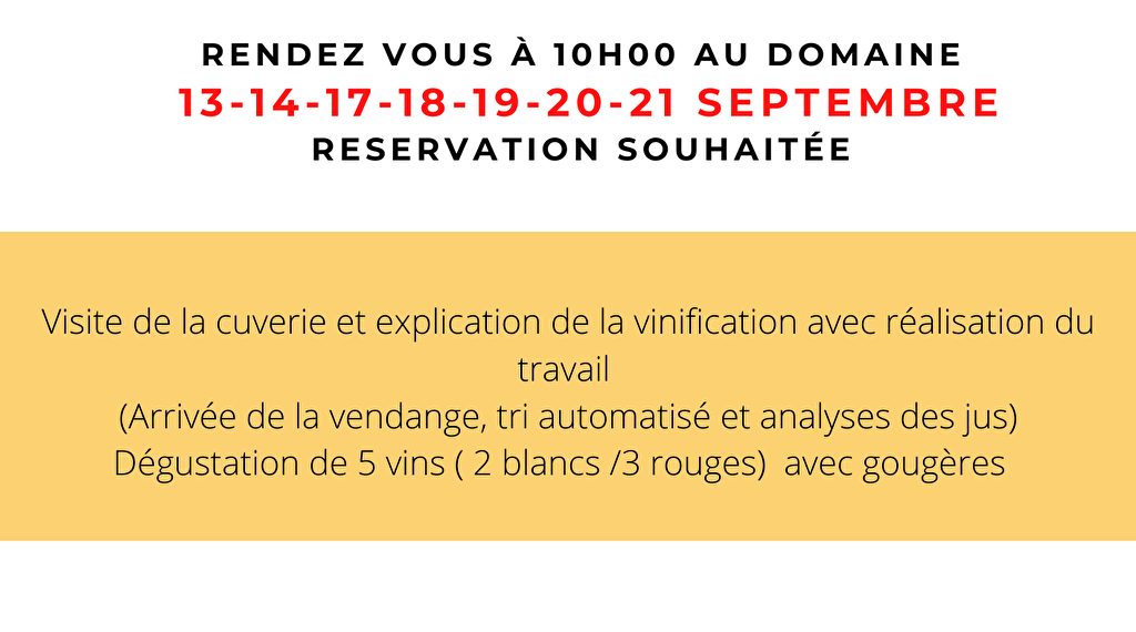 Dégustation découverte des vendanges Du 13 au 21 sept 2024