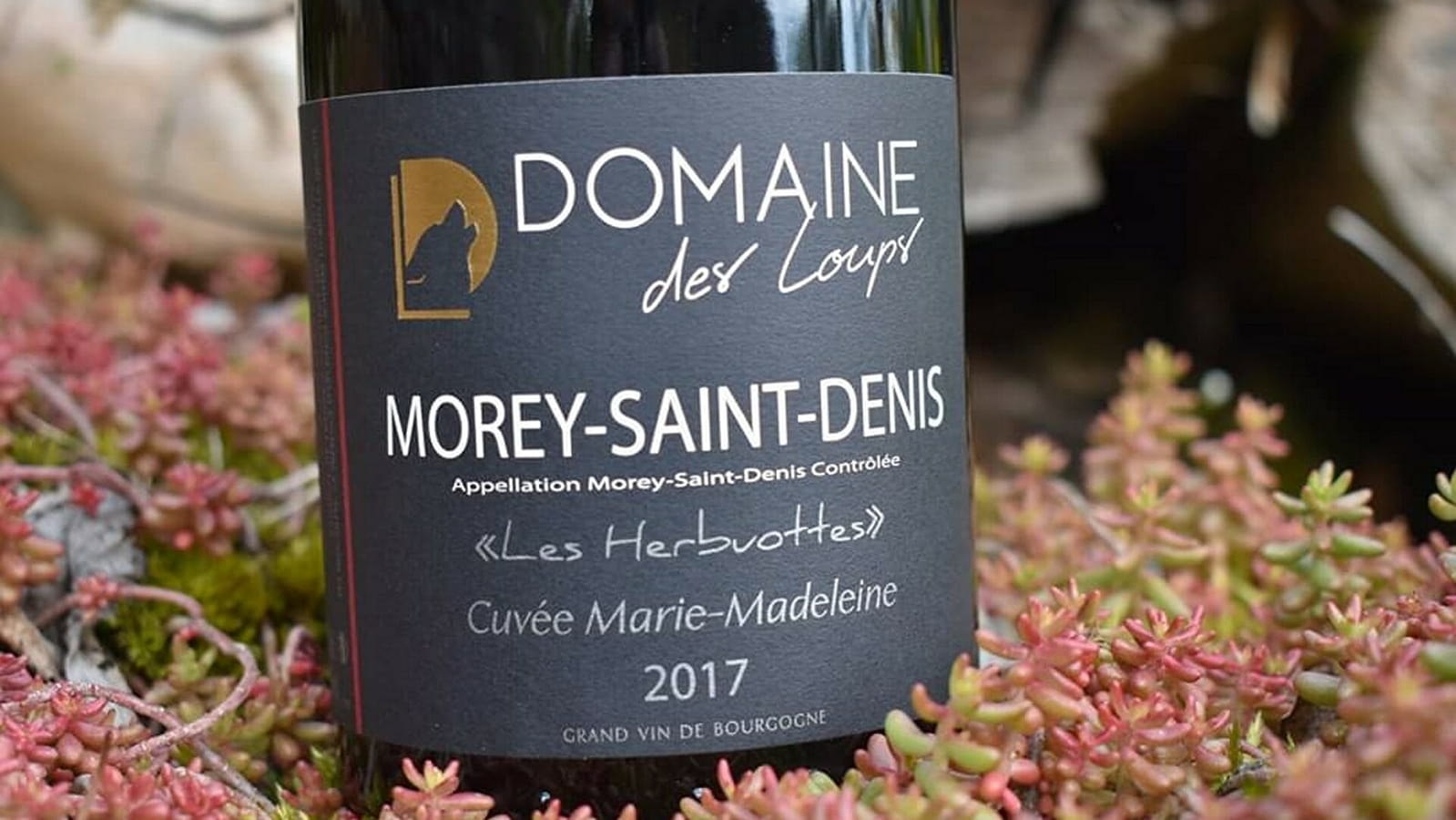 Domaine des Loups