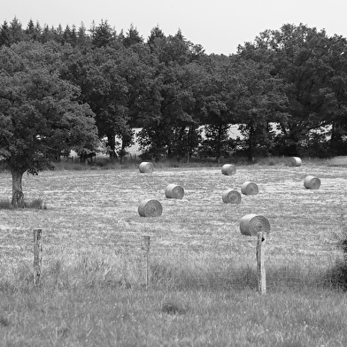 La ferme de Morentru