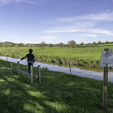 Sentier de l'Alène