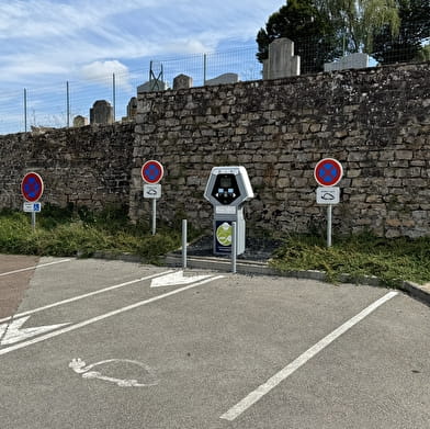 Borne de recharge pour véhicules électriques