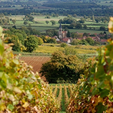 Les Pierres Dorées