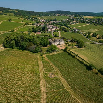 Des carrières de la Lie à la Solitude - La Roche-Vineuse