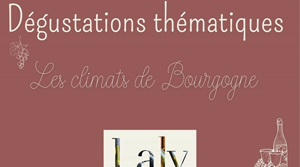 Dégustation thématique : Accords vins et fromagess